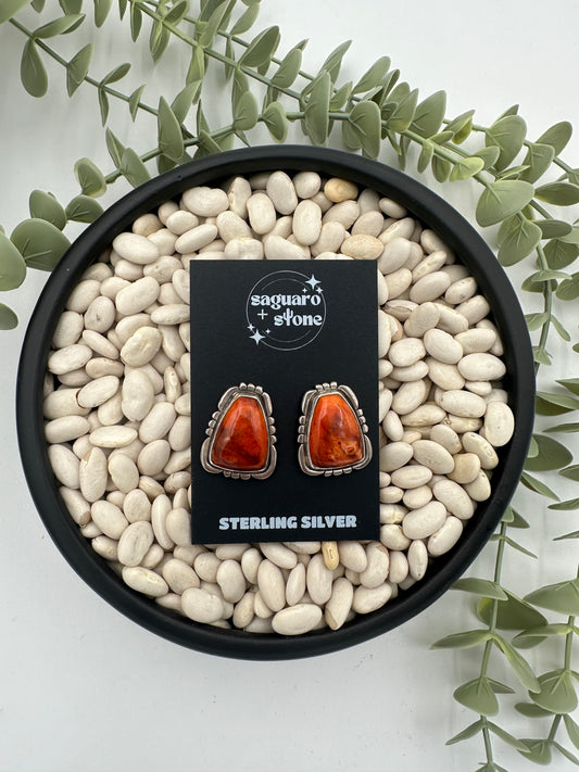 Red Dirt Road Earrings